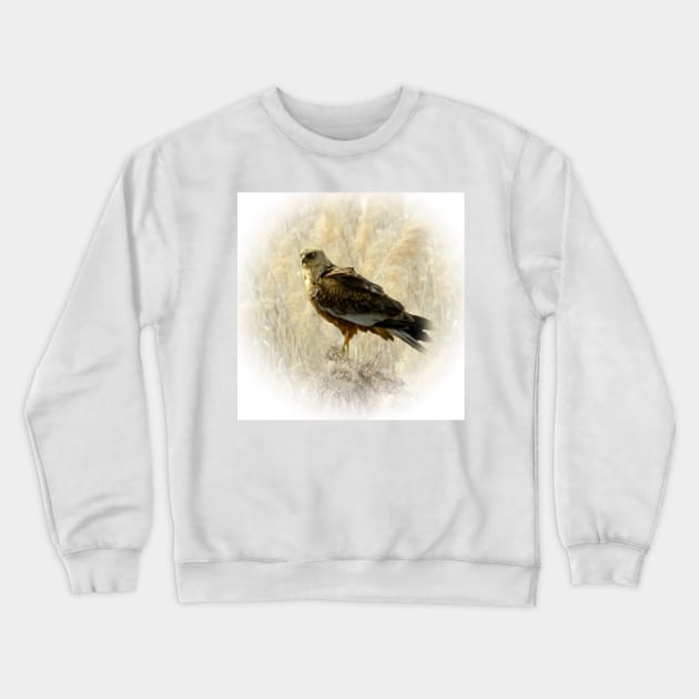 Marsh harrier Crewneck Sweatshirt by Guardi